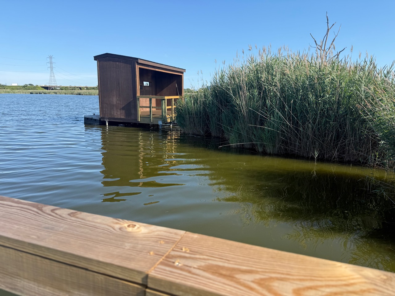 Enclosed bird blind standing over the water beside a dense wall of reeds.